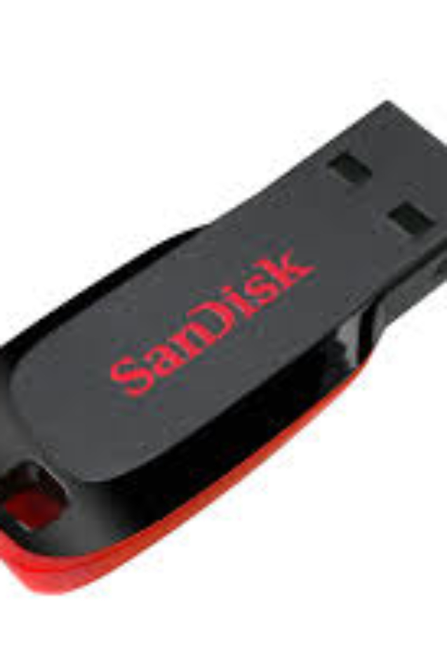 SanDisk 64GB Cruzer Blade USB Flash Drive